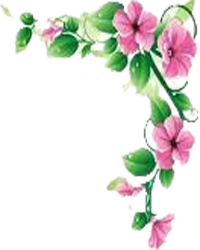 Top Flower Management Service Companies in Chennai, Pondicherry